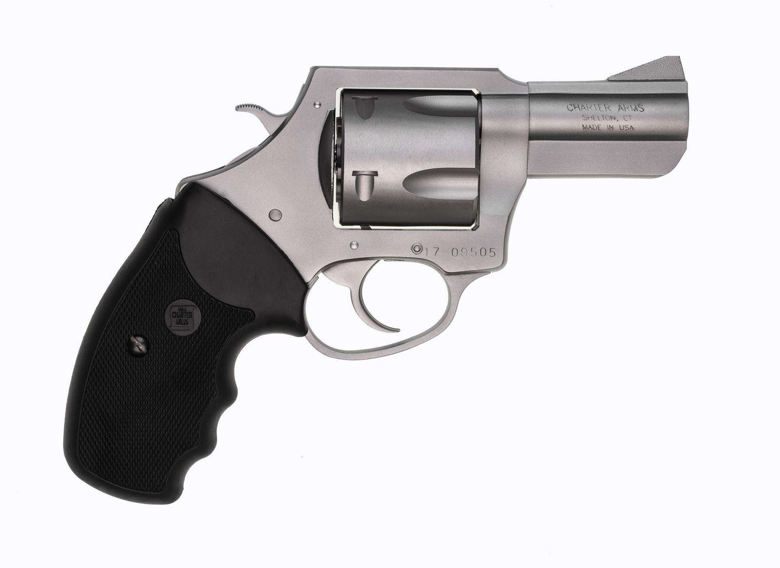 Charter Arms Pitbull® .45 ACP 5rd 2.5″ Barrel Stainless Steel